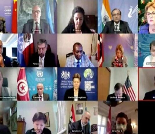 UNSC: India concerned over terrorists acquiring chemical weapons, urges global action