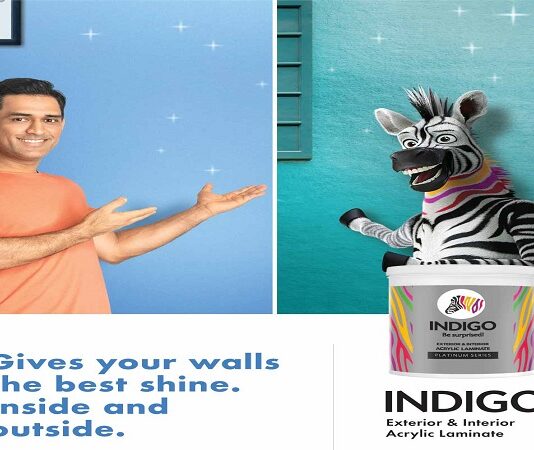 Indigo Paints to launch IPO on Jan 20, price band set at Rs 1,488 – 1,490