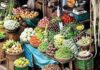 India’s retail inflation eases to 4.59% in Dec, IIP contracts 1.9% in Nov