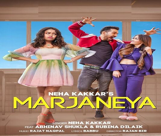 Rubina Dilaik-Abhinav’s first ever music video ‘Marjaneya’ released