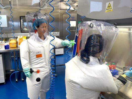 Wuhan lab’s classified information hampering search for COVID-19 origins