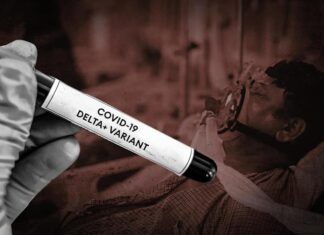 Delta variant predicted to become predominant mutation across US: CDC