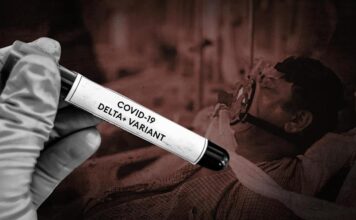 Delta variant predicted to become predominant mutation across US: CDC