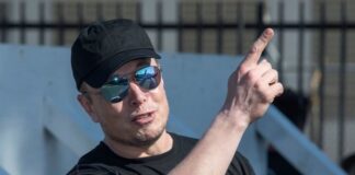World’s richest man Elon Musk reveals which cryptos he owns