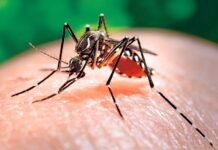 Zika virus case tally in Uttar Pradesh’s Kanpur reaches 10, CMO confirms