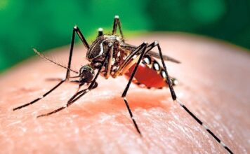 Zika virus case tally in Uttar Pradesh’s Kanpur reaches 10, CMO confirms
