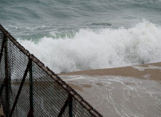 Tonga volcano eruption: Japan cancels tsunami warning for all regions
