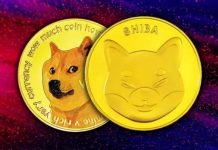 What is CATCOIN? Will Doge and Shib Inu era end?