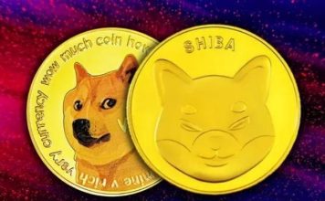 What is CATCOIN? Will Doge and Shib Inu era end?