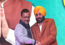 AAP headed for clean sweep in Punjab: What led to the historic show