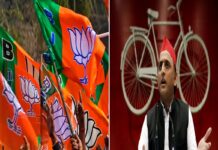 UP MLC election results: BJP sweeps polls, wins 33 out of 36 seats, SP suffers rout