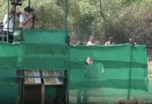 PM Modi releases 8 cheetahs in MP’s Kuno National Park