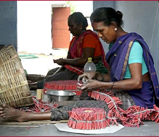 Ahead of Diwali, Delhi bans production, storage, sale and use of firecrackers till Jan 1, 2023