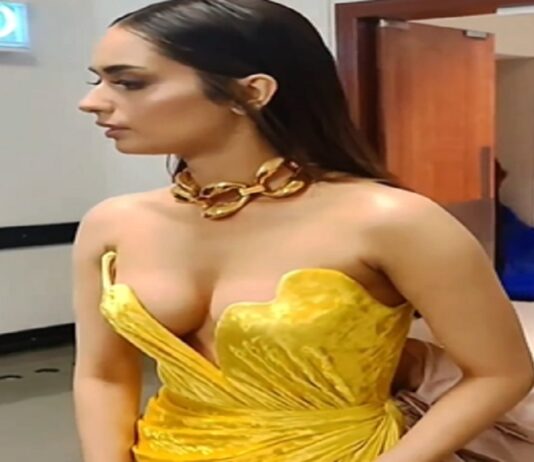 Beauty pageant winner & actor Manushi Chhillar trolled for extra-revealing dress at award night