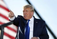 Trump back on Twitter after Musk confirms his account reinstatement