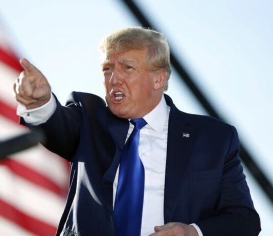 Trump back on Twitter after Musk confirms his account reinstatement
