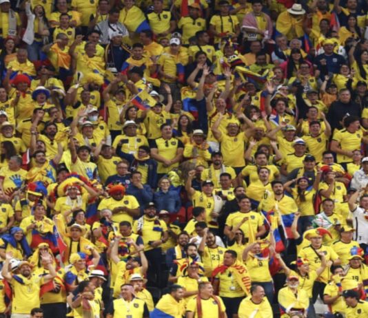 FIFA 2022: Fans clamour for beer in stadiums, chant ‘We want beer’ post Ecuador win