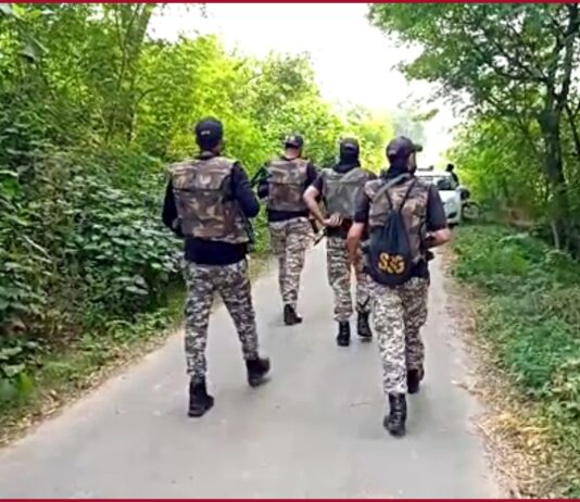 J-K: JeM terrorist killed in Shopian encounter