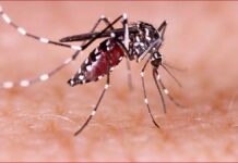 India should be ready to fight Zika virus in case of an outbreak: NTAGI chief