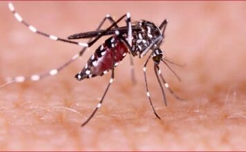 India should be ready to fight Zika virus in case of an outbreak: NTAGI chief