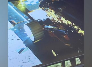 Chandrayaan-3: ‘India took a walk on the moon,’ says Isro as Pragyan rover rolls out