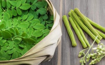 Enhance Your Well-being with Moringa Powder