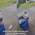 US women throws two puppies in dustbin, CCTV footage goes viral