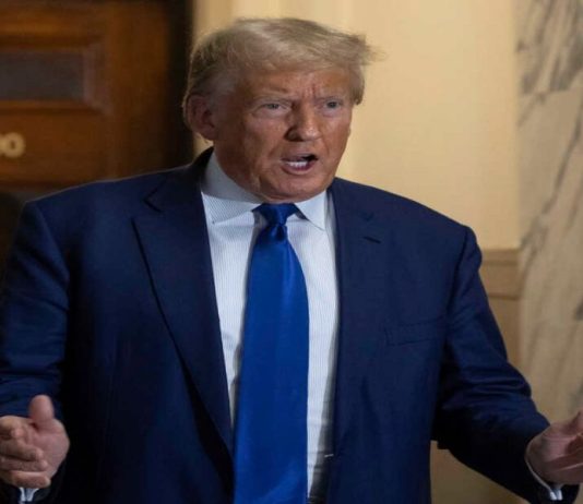 Trump announces key appointments: Pete Hegseth as Defense Secy, John Ratcliffe as CIA Director, and more