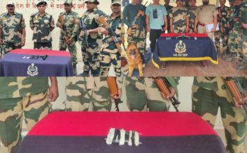 BSF recovers drone, heroin and pistol body from Punjab border