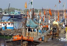 Rs. 50 crore central grant released to Gujarat under PMMSY, becomes second largest marine fish producer