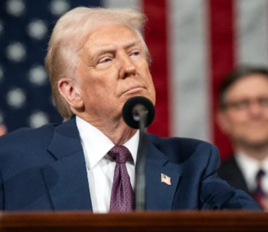 Trump says National Guard shooting suspect “went nuts”, lashes out at “stupid” reporter