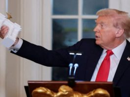 “Biggest one of all”: Donald Trump backs world’s largest triumphal arch for DC