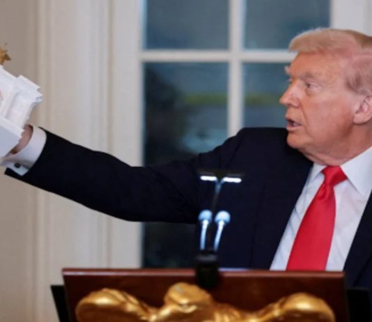 “Biggest one of all”: Donald Trump backs world’s largest triumphal arch for DC