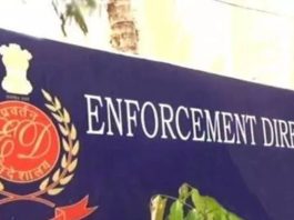ED files prosecution complaint against Red Leaf Immigration Pvt Ltd, others in organised immigration, visa fraud